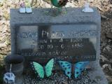 image of grave number 888093